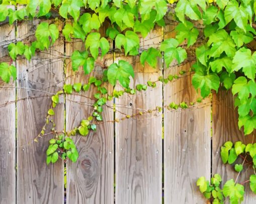 Vines Green Plant Diamond Paintings