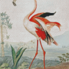 Vintage Flamingo Diamond Paintings