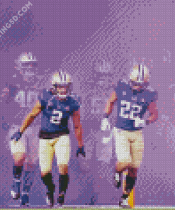 Washington Huskies Team Diamond Paintings