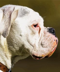 White Boxer Side Face Diamond Paintings