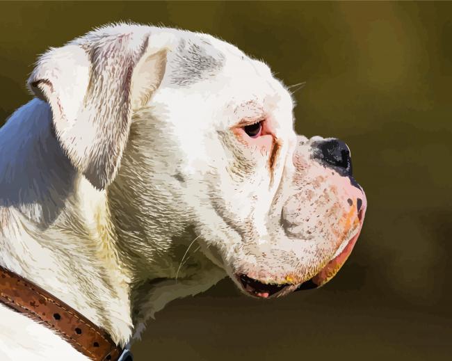 White Boxer Side Face Diamond Paintings