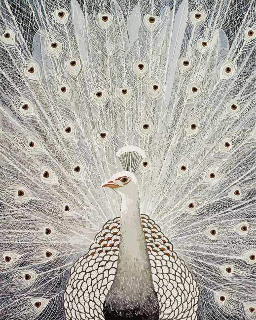 White Peacock Bird Diamond Paintings