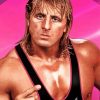 WWE Owen Hart Wrestler Diamond Paintings