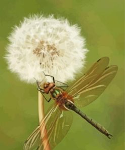 Aesthetic Dragonfly And Dandelion Diamond Paintings