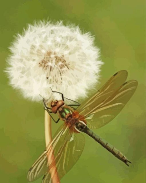 Aesthetic Dragonfly And Dandelion Diamond Paintings