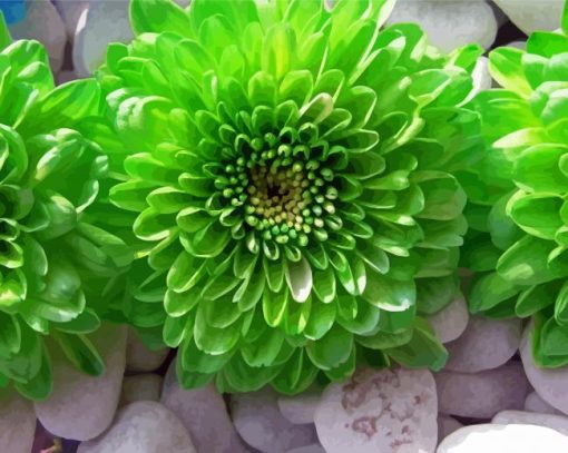 Aesthetic Green Flowers Diamond Paintings