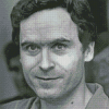 Aesthetic Ted Bundy Diamond Paintings