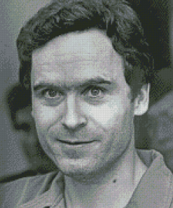 Aesthetic Ted Bundy Diamond Paintings