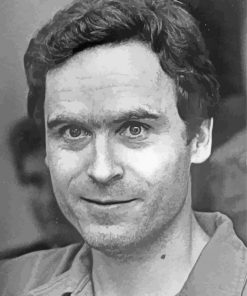 Aesthetic Ted Bundy Diamond Paintings