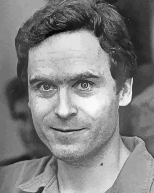 Aesthetic Ted Bundy Diamond Paintings