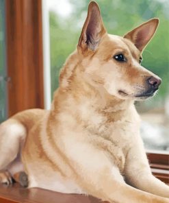 Aesthetic Carolina Dog Diamond Paintings