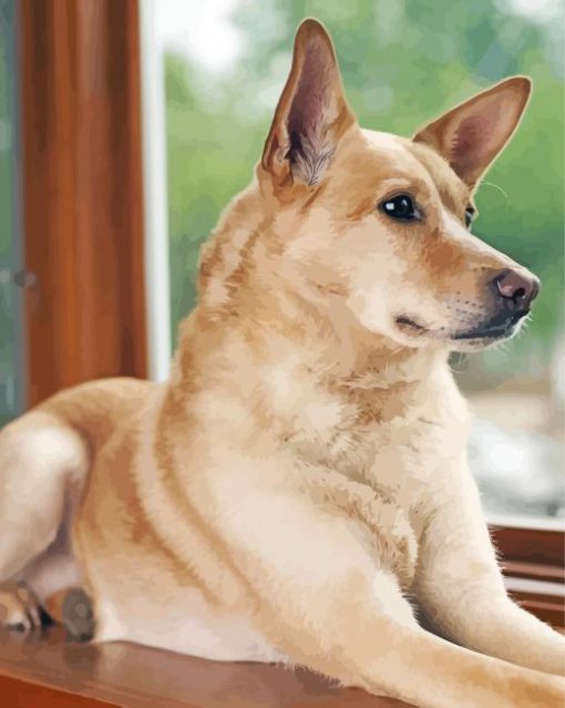 Aesthetic Carolina Dog Diamond Paintings