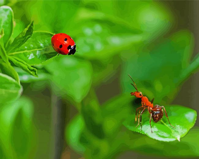 Ant And Ladybug On Leaves Diamond Paintings