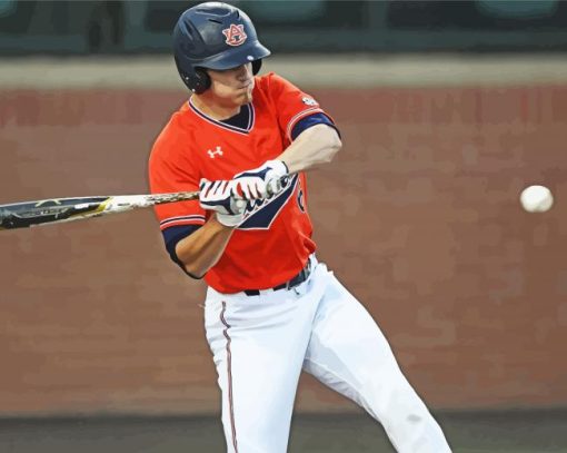 Auburn Tigers Baseball Diamond Paintings