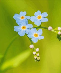 Beautiful Forget Me Not Flowers Diamond Paintings