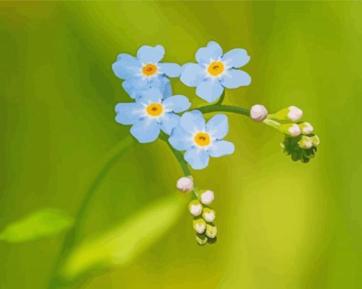 Beautiful Forget Me Not Flowers Diamond Paintings