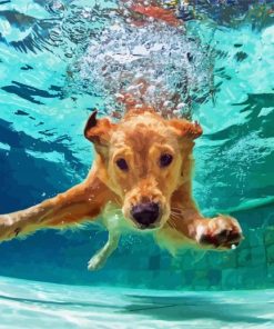 Beige Dogs In Pool Diamond Paintings