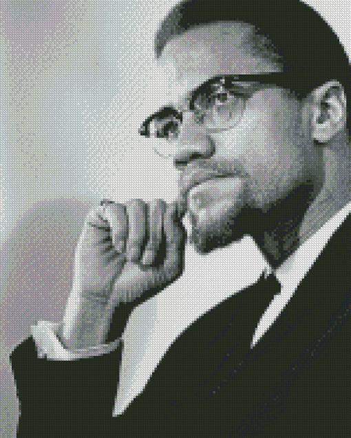 Black And White Malcolm X Diamond Paintings