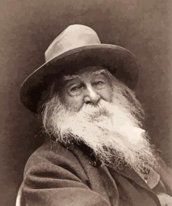 Black And White American Poet Walt Whitman Diamond Paintings