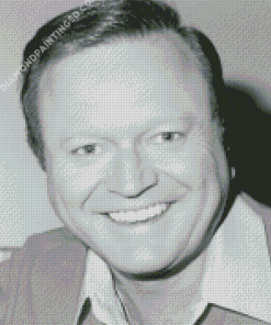 Blalck And White Bert Newton Diamond Paintings