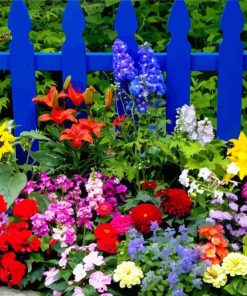 Blue Fence And Colorful Flowers Diamond Paintings