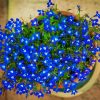 Blue Lobelia Diamond Paintings