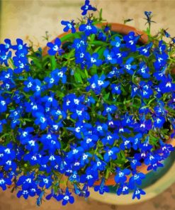 Blue Lobelia Diamond Paintings