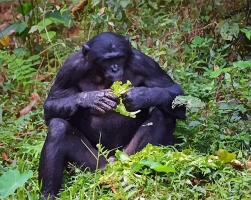 Bonobo Monkey Eating Diamond Paintings