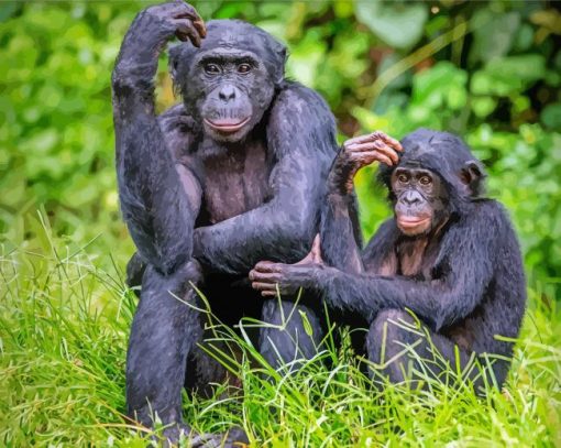 Bonobo Monkey Family Diamond Paintings