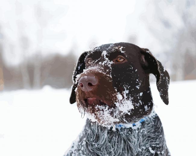 Brown Wire Hair Dog In Snow Diamond Paintings