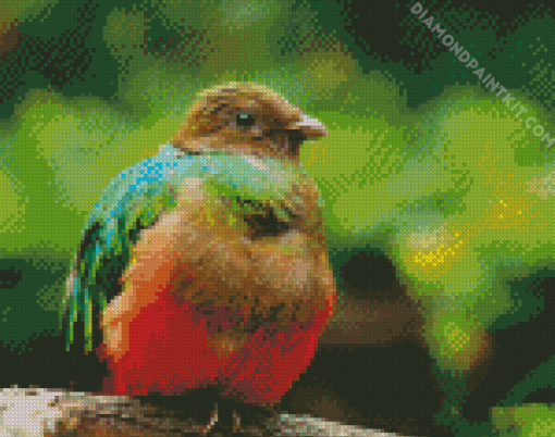 Brown Head Quetzal Diamond Paintings