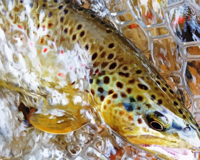 Brown Trout Fish In Water Diamond Paintings