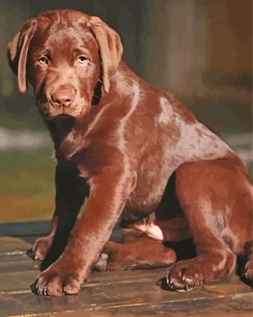 Chocolate Labrador Dog Diamond Paintings