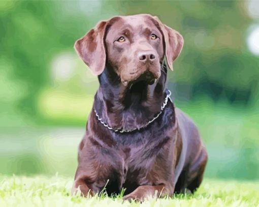 Chocolate Labrador Diamond Paintings