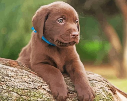 Chocolate Labrador Puppy Diamond Paintings