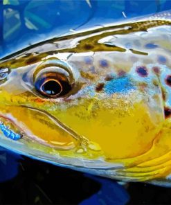 Close Up Brown Trout Fish Diamond Paintings