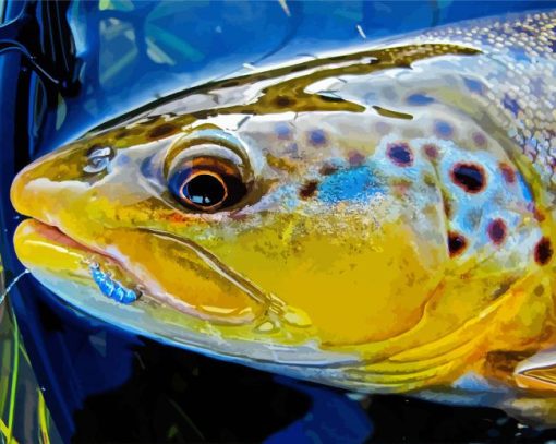 Close Up Brown Trout Fish Diamond Paintings