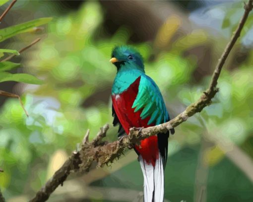 Colorful Quetzal Bird Diamond Paintings