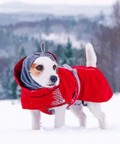 Cute Winter Dog In Snow Diamond Paintings