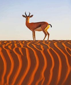 Deer In Desert Animal Diamond Paintings