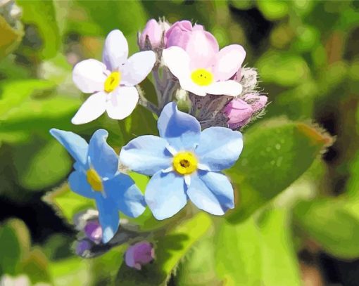 Forget Me Not Flowers Diamond Paintings