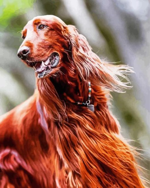 Irish Setter Dog Diamond Paintings