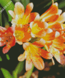 Orange Freesia Diamond Paintings