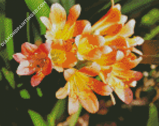 Orange Freesia Diamond Paintings