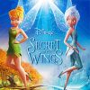 Periwinkle And Tinkerbell Cartoons Diamond Paintings