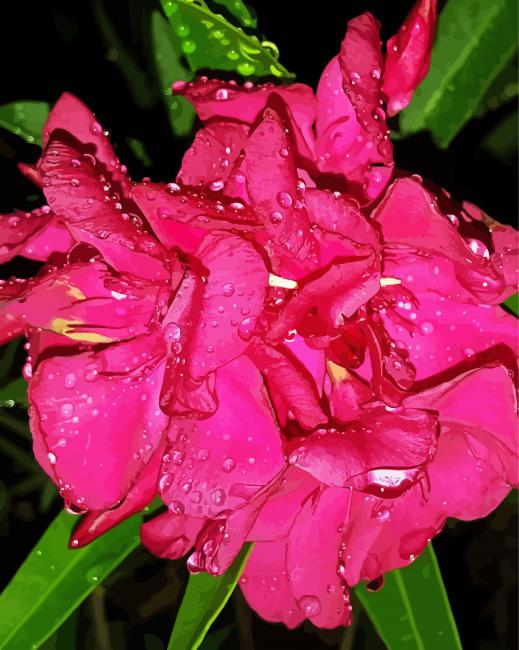 Pink Flowers Oleander Diamond Paintings