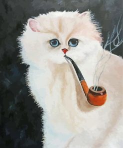 Smoking Cat Animal Diamond Paintings