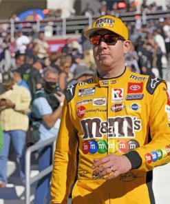 The American Race Driver Kyle Busch Diamond Paintings