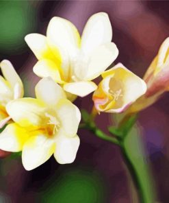 White Freesia Diamond Paintings