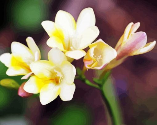 White Freesia Diamond Paintings